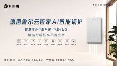 德国鲁尔锅炉的效果